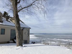a house in the snow next to a tree at Life on the Lake in Colchester