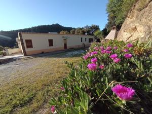 a building with pink flowers in front of it at Casa Lucia Campagna Relax in Dorgali