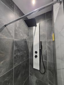 a bathroom with a shower with a shower head at Le Refuge de Chateau Renard in Château-Renard