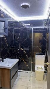 a bathroom with a toilet and a shower and a sink at Villa NOA in Bijeljina +15 photos