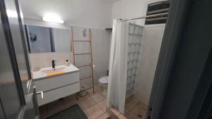 a bathroom with a sink and a toilet at Villa El Gato in Bouillante +23 photos