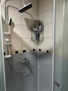 a bathroom with a shower with a glass door at Monteluce Apartment Vlašić in Šišava +15 photos