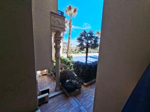 a view from the hallway of a resort with palm trees at Argisht complex apart 208 in Golden Sands