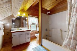 a bathroom with a toilet and a sink and a tub at Saco River Hideaway in Bartlett +42 photos