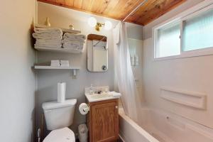 a bathroom with a toilet and a sink and a mirror at The Beech Cottage in Tuftonboro +43 photos