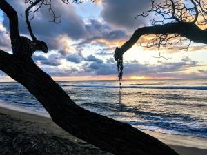 a tree on the beach with a sunset in the background at Oceanfront Studio at Islander on the Beach #325 in Kapaa