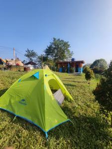 a green tent sitting in the grass in a field at Thursina Camping Ground in Paragajen
