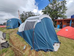 a group of tents sitting in the grass at Thursina Camping Ground in Paragajen +13 photos