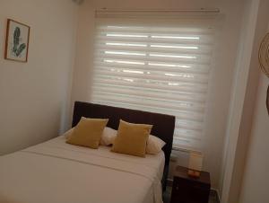a bed with two pillows in a room with a window at BHB - ApartaHotel in Leticia +29 photos