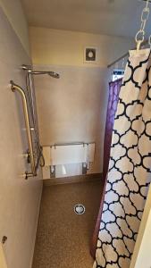a bathroom with a shower with a shower curtain at Bahara Accommodation in Springfield +24 photos