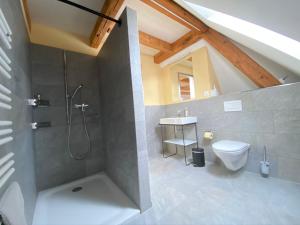 a bathroom with a shower with a toilet and a sink at Hopfengrün Langenthal in Langenthal +16 photos