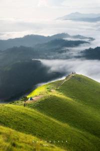 a green hill with a tree on top of it at Beyond ella in Ella