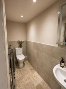 a bathroom with a toilet and a sink at The Old Malthouse Caerleon in Caerleon +9 photos