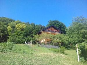 a house on the side of a hill with trees at Apartman 2 in Krapina