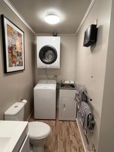 a small bathroom with a toilet and a sink at Studio 18 Cardrona in Cardrona