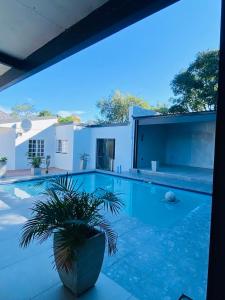 a large swimming pool with a plant in front of a house at Hidden Villas Guesthouse in East London