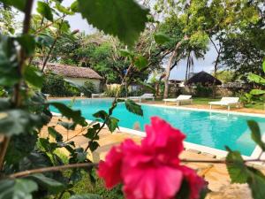 a pink flower in front of a swimming pool at Cave House in Kilifi