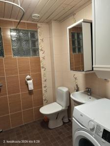 a bathroom with a toilet and a sink at Holisko in Ylläsjärvi