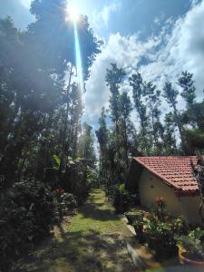 a house with the sun shining through the trees at Outbackwoods homestay room Robusta in Vastāra