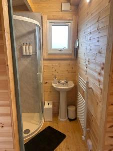a small bathroom with a sink and a shower at Tobys Lodge in Laragh
