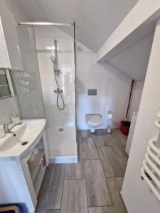 a bathroom with a shower and a sink and a toilet at Little Wish in Gdańsk +52 photos
