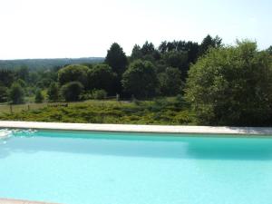a large blue swimming pool with trees in the background at La Zénitude in Les Lèches +20 photos