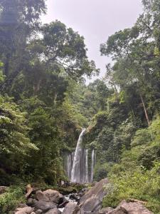 a waterfall in a forest with rocks and trees at Fetung Bayan Homestay in Senaru