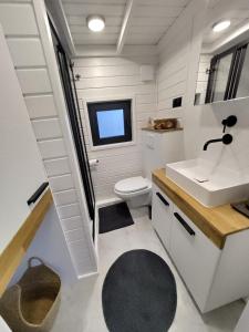 a small bathroom with a toilet and a sink at Tiny House Scarlet in Dziemiany +11 photos