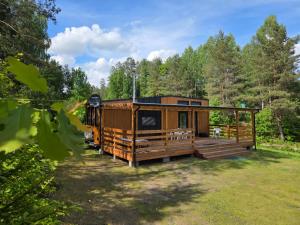 a cabin in the woods with a deck and trees at Tiny House Scarlet in Dziemiany