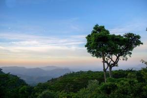 a tree on top of a hill with mountains at Melheim Resort & Spa Haputale - An Infinite Escape into the Paradise in Haputale