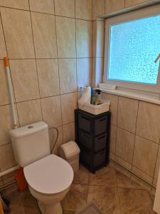 a bathroom with a toilet and a window at Pas Rasą in Palanga +20 photos