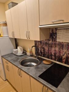 a kitchen with a sink and a microwave at Pas Rasą in Palanga