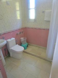a bathroom with a toilet and a sink at The Pahadi Ghar in Chail +16 photos