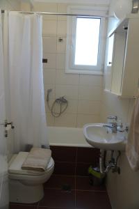 a bathroom with a toilet and a shower and a sink at Anelia in Nea Artaki +9 photos