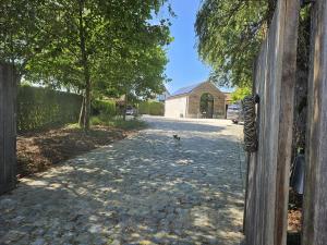 a dog is walking down a cobblestone street at Casa Leone near Bruges with jacuzzi & parking in Ruddervoorde