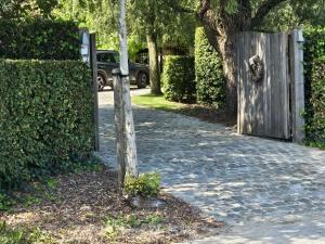 a tree in a driveway with a wooden gate at Casa Leone near Bruges with jacuzzi & parking in Ruddervoorde +38 photos