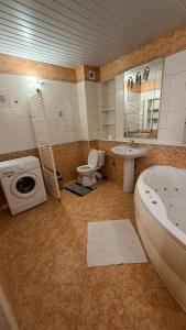 a bathroom with a sink toilet and a washing machine at Стара Прага in Uzhhorod +37 photos