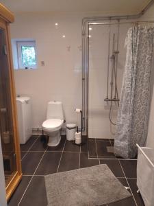 a bathroom with a toilet and a shower at Önnestad guest house in Önnestad +4 photos