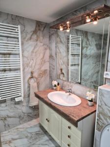 a bathroom with a sink and a mirror at Maison de Luxe Entière in Chalon-sur-Saône +42 photos