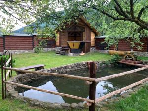 a house with a pond in front of a house at Садиба VAKO in Verkhniy Bystryy