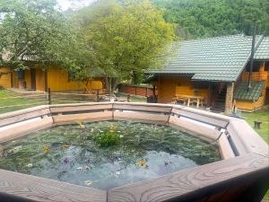 a large pond in the backyard of a house at Садиба VAKO in Verkhniy Bystryy +4 photos