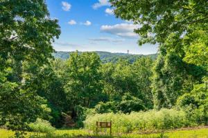 a bench in the middle of a forest of trees at Ozark Skyline Retreat in Branson West