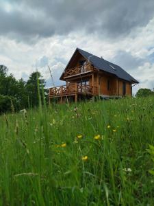 a wooden cabin in a field of green grass at Gruszchatka 1 in Gruszów
