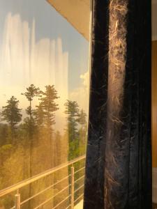 a window with a view of a forest at Nizalia resorts in Patriata