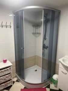 a shower with a glass door in a bathroom at Domek Pod Sosnami D in Krasnobród
