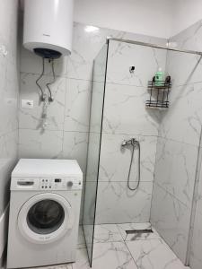 a laundry room with a washing machine and a sink at Erna Apartment in Golem