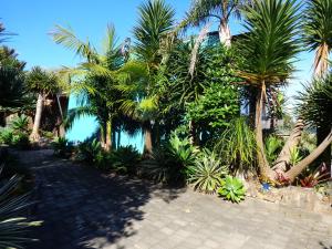 a resort with palm trees and a swimming pool at The Nikau Loft in Onetangi