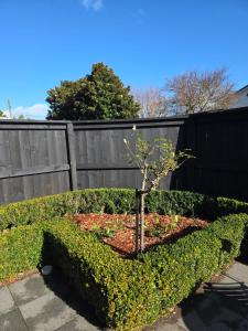 a small tree in a garden in front of a fence at Changing Seasons in Cambridge +4 photos
