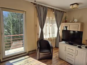 a living room with a television and a chair and a window at Casa Alina in Arpaşu de Sus