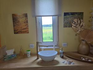 a bathroom counter with a bowl sink and a window at Zeltarasa in Avotkalni